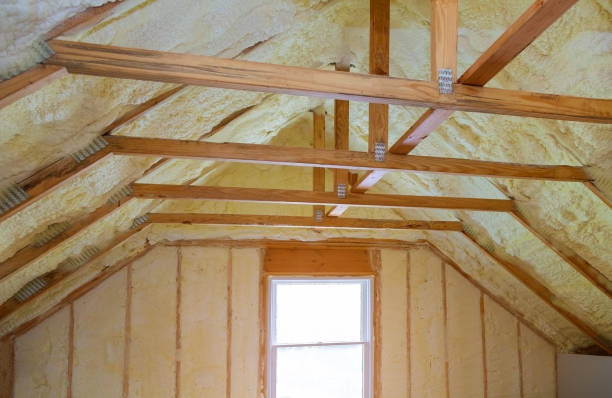 Best Geographic-Specific Insulation Services in North Shore, VA
