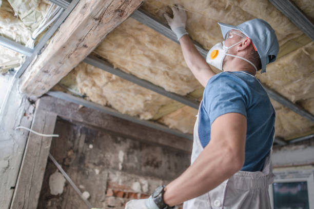 Best Specialized Insulation Services in North Shore, VA