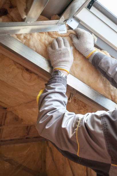 Best Eco-Friendly Insulation in North Shore, VA