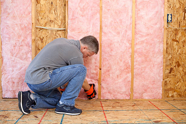 Best Spray Foam Insulation in North Shore, VA