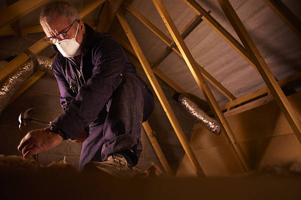 Types of Insulation We Offer in North Shore, VA