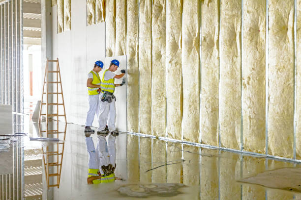 Best Fiberglass Insulation in North Shore, VA